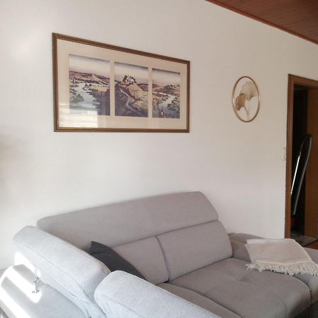 Ferienwohnung Schwalbennest 좀머라흐 외부 사진