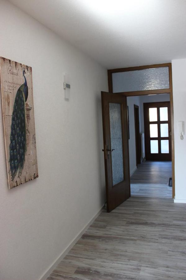 Ferienwohnung Schwalbennest 좀머라흐 외부 사진
