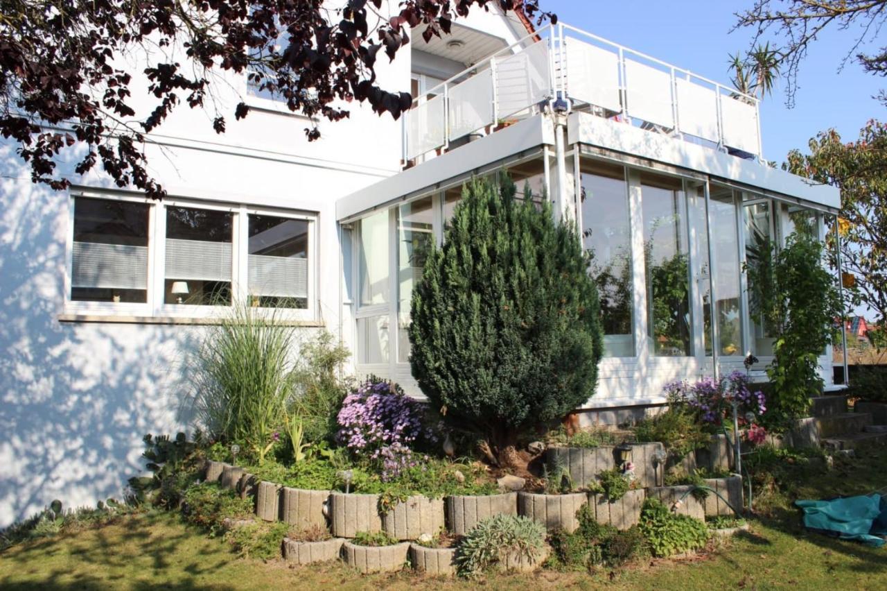 Ferienwohnung Schwalbennest 좀머라흐 외부 사진