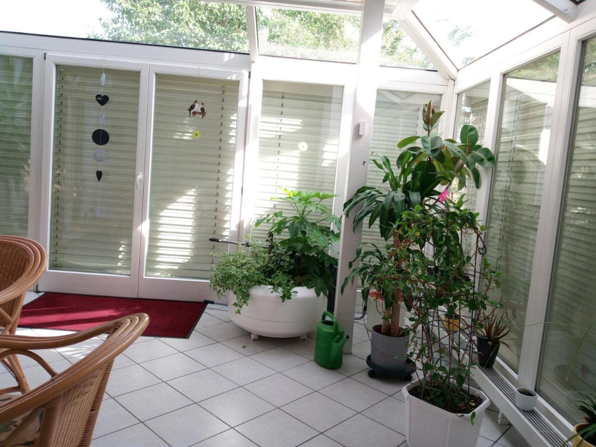 Ferienwohnung Schwalbennest 좀머라흐 외부 사진