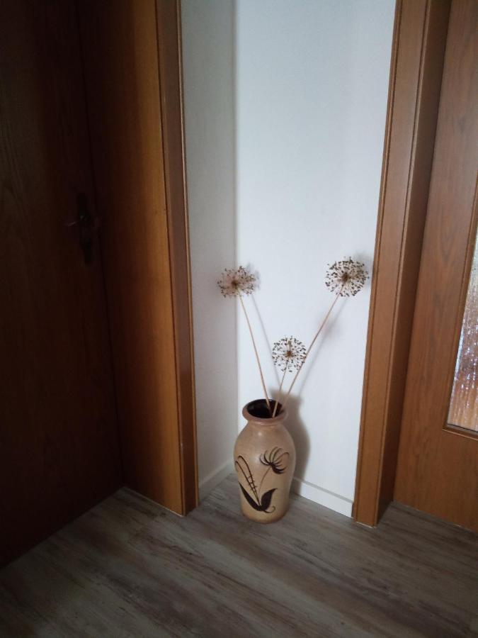 Ferienwohnung Schwalbennest 좀머라흐 외부 사진